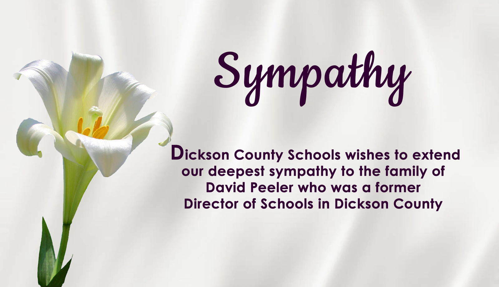 Dickson County School District
