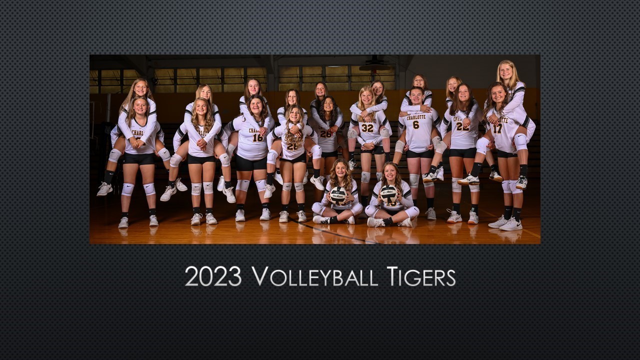 Volleyball