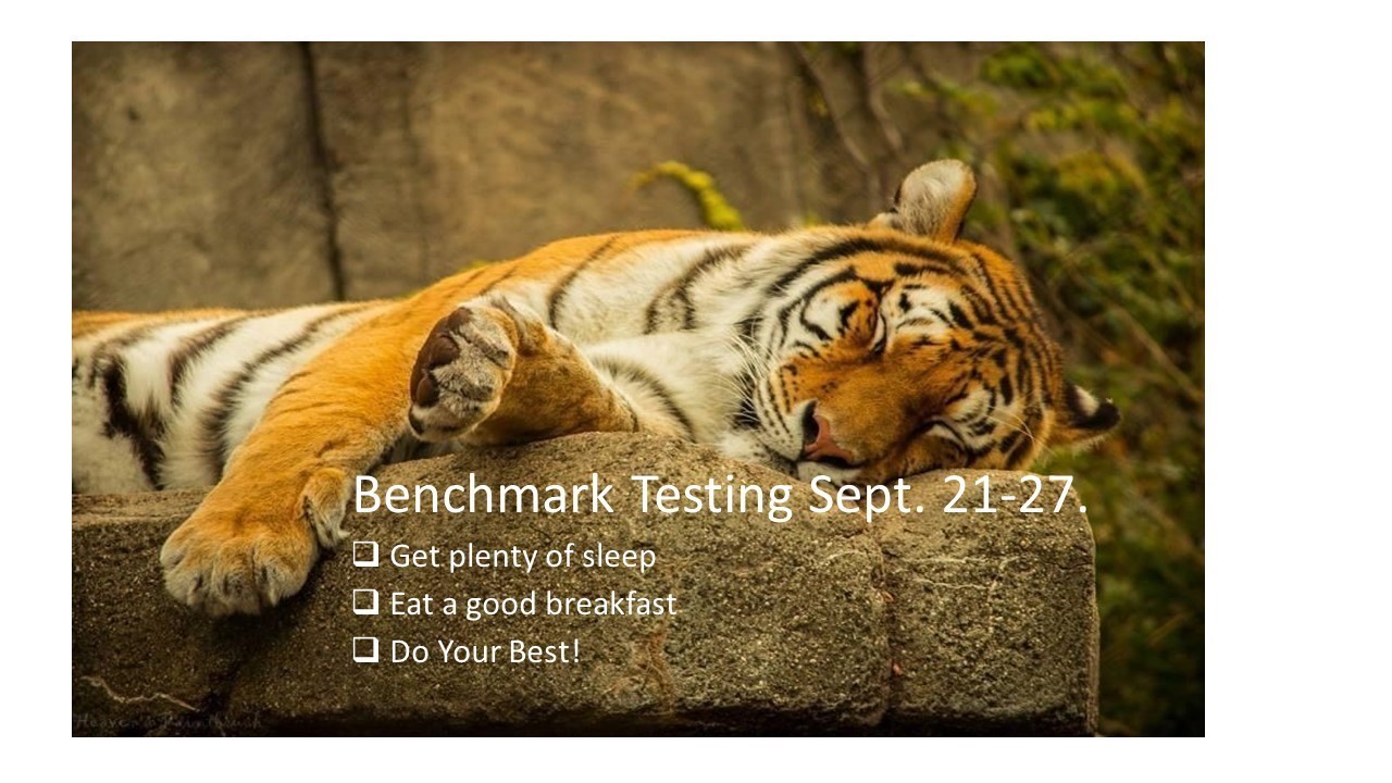 benchmark