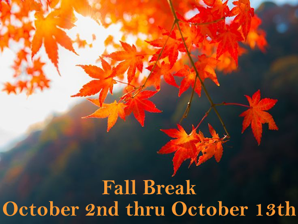 fall
